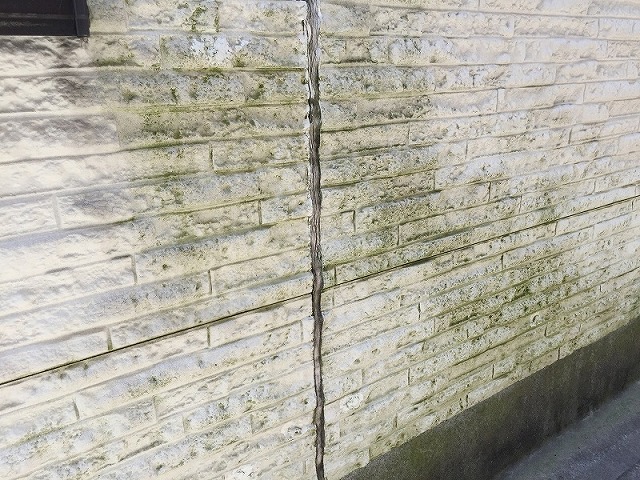 苔・カビが生えて目地シーリングが劣化